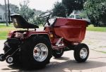 My Cub 22.jpg